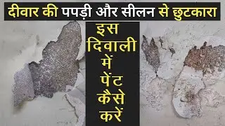 How to Repair Damp Wall With Waterproof Putty in #diwali |Damp Wall Solution/Treatment | Wall Seelan