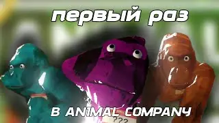 Первый раз в ANIMAL COMPANY ➡ Animal Company