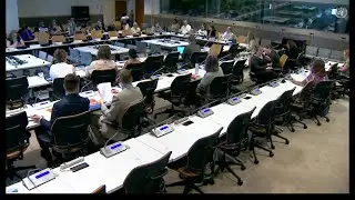 DRI Founder, Eric Rosenthal, speaks at UN Side Event on Disability & Trafficking