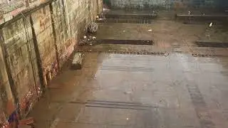 SEAGULL EAT FISH IN FALMOUTH DRYDOCK PORT IN UK