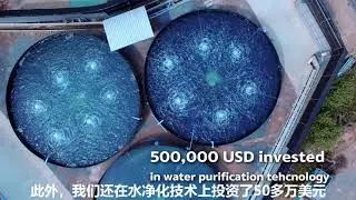Top Aquaculture Vannamei Broodstock 4K INTRODUCTION (Thai sound, Chinese sub)