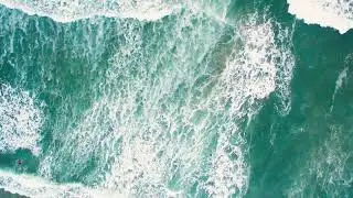 Surf & Sand Resort - WAVES - JAN19