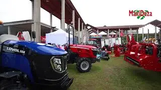 Maxideza Semana Verde 2018
