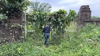 Она не могла поверить своим глазам — и была потрясена, осознав, что это её старый дом