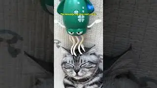 The massage toy they can&rsquo;t resist  #petfinds#amazonpetfinds#catproducts#usefultoys#petgadget#catlove