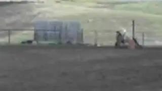 Barrel Racing Jackpot (me and Cow)