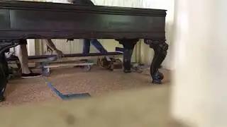 Square grand piano moving PianoLimo by Amadeus Piano Co LLC
