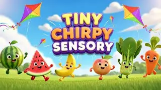 Baby Sensory with Soothing Music - Sensory Videos For Babies | Fun Video with Music