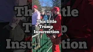 This Little Trump Insurrection! - Robby Roadsteamer #election2024