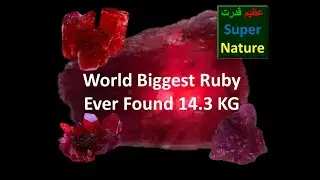 Wonder Biggest Ruby in the world ever found 14.3KG English Azeem Qudrat Super Nature