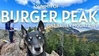 Summit Of Burger Peak (10,300ft), Pine Valley Mountains, Utah