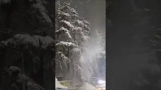 snowfall ⛄                                           #trading #song #rainfall