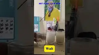 True Solution | Colloidal Solution | Suspension Solution | #short #experiment #mstclass9th&10th