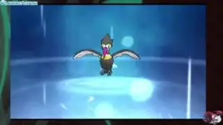 [PKM] Pok&eacute;mon Moon : Bazoucan shiny /Toucannon shiny [Evolution]