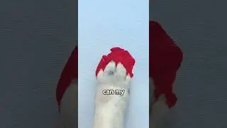 My Dog is an ARTIST