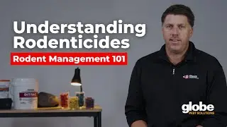 How Do Rodenticides Work? | Rodent Management 101 with Globe and Bell Labs