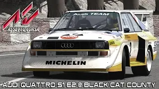 Assetto Corsa - New Audi Quattro S1 E2 @ Black Cat County