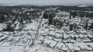 Drone lento testi