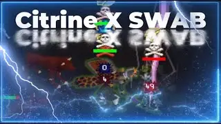 RoatPkz [Citrine X SWAB] - 4M PKP G/A