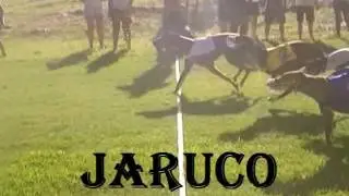 video a JARUCO