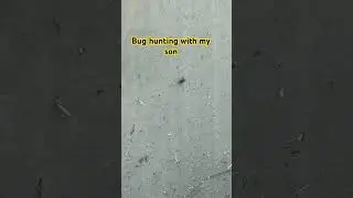 Bug hunting with my son!