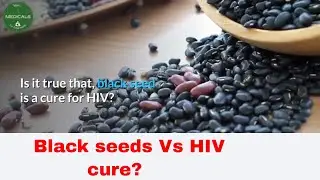 Is it true that black seed is a cure for HIV (hiv cure news today)