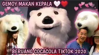 GEMOY BERUANG COCA COLA❗ Bear Cocacola VIRAL TIKTOK 2020