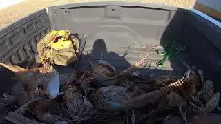Western Kansas veterans pheasant upland hunt 2025 **language