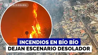 Catástrofe en el Bío Bío: La devastación que han dejado los incendios que afectan a la región