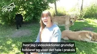 Hundeadf&aelig;rdsterapi - hundesprog l&oslash;ser problemerne