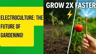 Electroculture The Future of Gardening:  Grow Bigger, Faster, and Smarter!