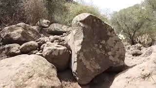 WalkingGC - Gran Canaria - Walking Barranco de los Cernícalos - 2.7 k - 60fps