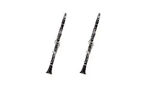 Crusell - Duo No. 2 - Allegro agitato - Play Along