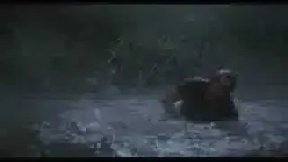 Jurassic Park - Forum5