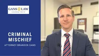 Criminal Mischief | Gans Law - Orlando Criminal Defense Attorney