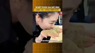 B&iacute; mật đằng sau m&ocirc; h&igrave;nh canh t&aacute;c th&ocirc;ng minh nhất #anhtinhtuong #shorts
