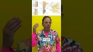 Facial pain, trigeminal neuralgia, tensor tympani myoclonus, burning mouth- Structural link to neck