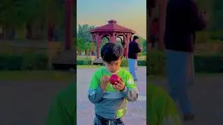 Cute baby cricket 🏏 #shortsyoutube #shortvideos