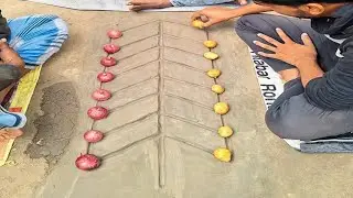 Onions and potatoes are an extraordinary game between the older brother and the younger brother.
