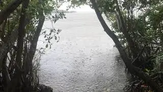 M&uacute;sica relajante de lluvia en isla para dormir - Relax rain&rsquo;s island music for sleep
