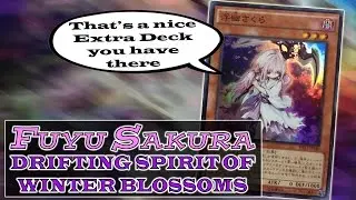 Fuyu Sakura 