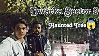 Dwarka Sector 9 Haunted Tree Night Investigation | Horror Vlog | Real Story Delhi Top Haunted Place