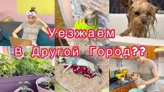 Уезжаем в другой город?? 😧 Планы поменялись😶 Банный день ❤️ VLOG