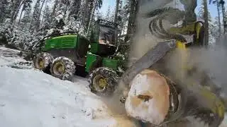 timber harvesting in winter after storm ❄️🌲