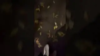 12 ноября 2023 г.