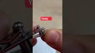 Kuş tırnağı nasıl kesilmeli 👍 #birbs #meyzileyoutubeshorts #shorts
