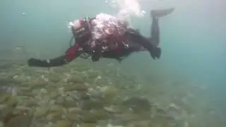 River Drift Diving Queenstown New Zealand