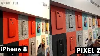 Pixel 2 VS iPhone 8 Camera Battle