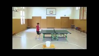 Table Tennis Germany Franz Gobel VS Nick Erler 2011.wmv