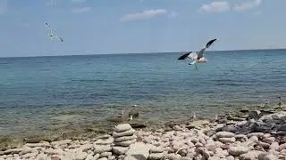 Walking Bluffer's Park and Beach - Scarborough Bluffs